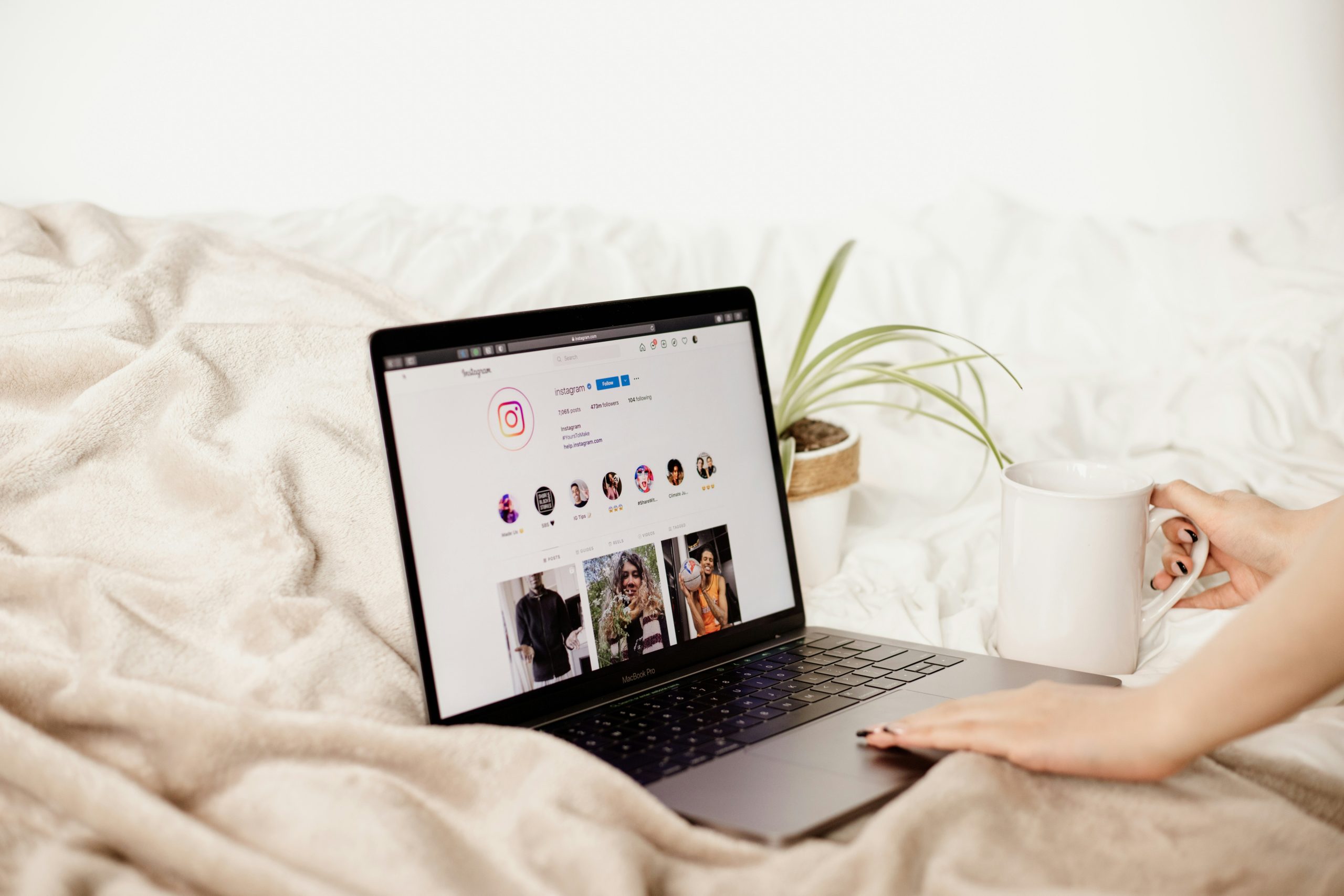 Social Media Managment - grey Owl Media